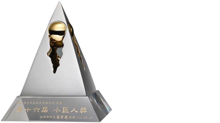 2013 Rising Star Award